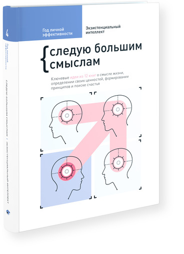 Год личной эффективности. Экзистенциальный интеллект