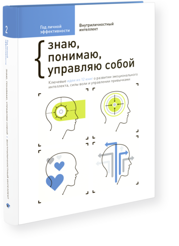 Год личной эффективности. Внутриличностный интеллект