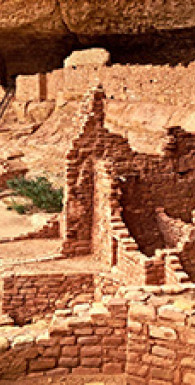 Sapiens: краткая история человечества