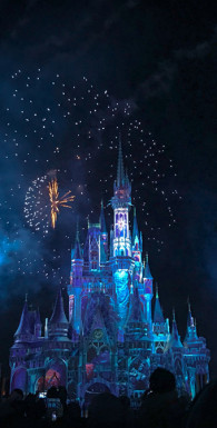 Путешествие длиною в жизнь. Уроки, которые я выучил за 15 лет работы CEO Walt Disney
