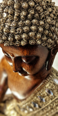 Мозг Будды. Нейропсихология счастья, любви и мудрости